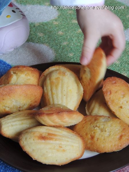 Madeleines (2)