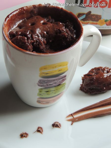 Mug Cake Nutella Les Delices D Helene