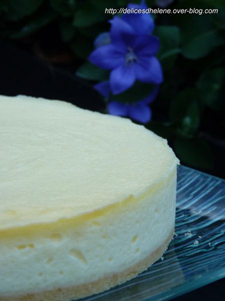cheesecake ancel (3)