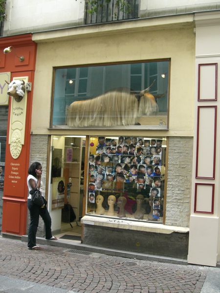 PerruquesVitrine
