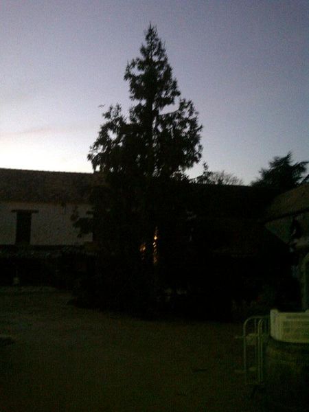IMG-20111112-0202.JPG