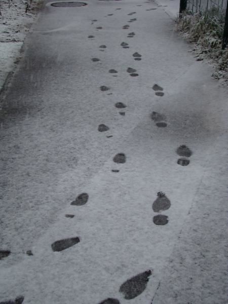 Traces de pas dans la neige de Boisguillaume