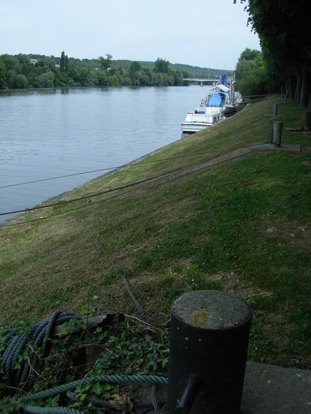 DSCN0788