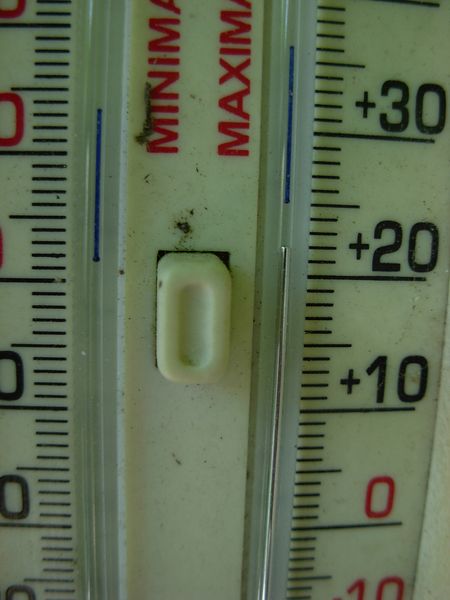 DSCN0239