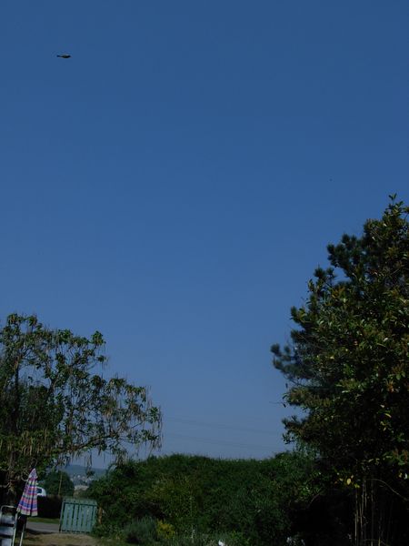 DSCN0240.JPG