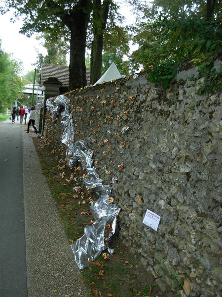 DSCN8640