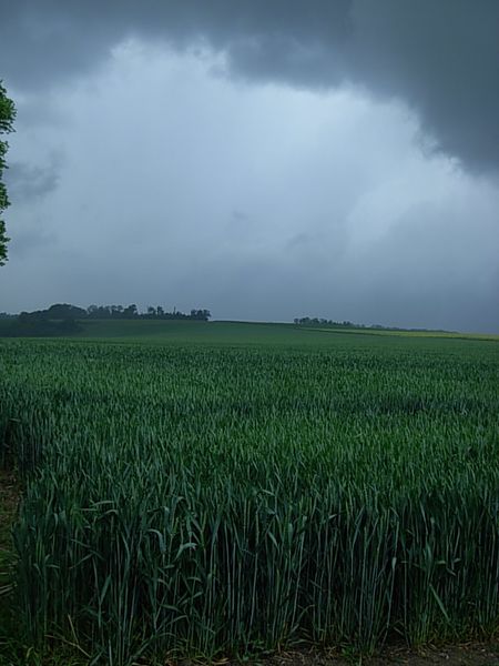 DSCN0289
