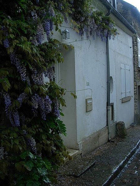 DSCN0298
