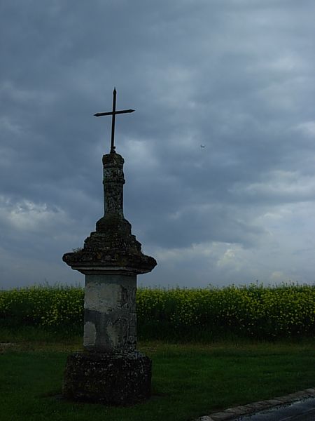 DSCN0310