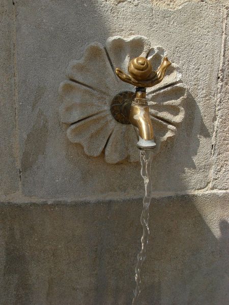 DSCN2994