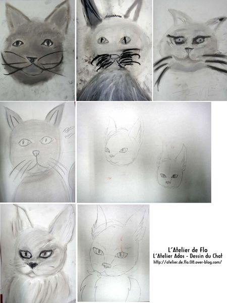 Oeil-de-chat-Atelier de Flo-Dessin-Peinture-Chat8