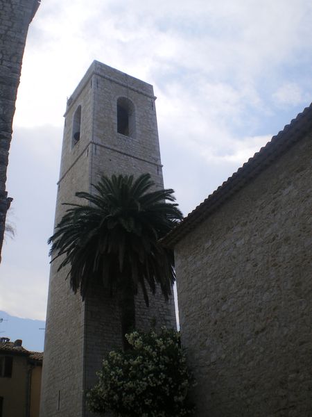 IMGP9783.JPG