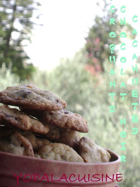 Diapositive2-copie-8