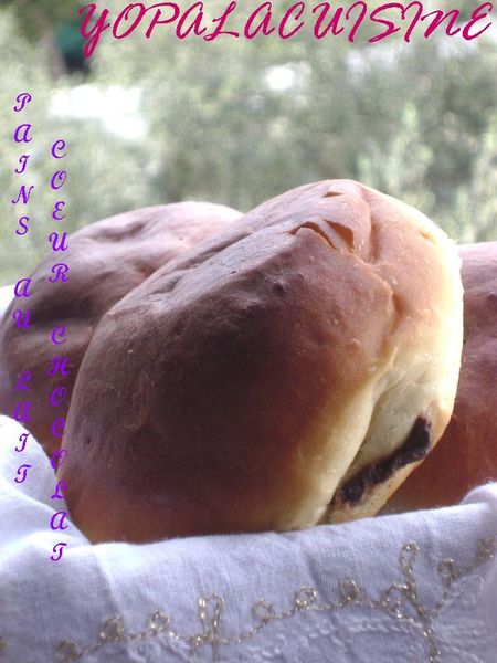 Diapositive1