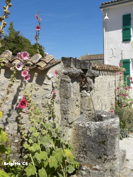 talmont15