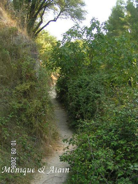 trans beziers