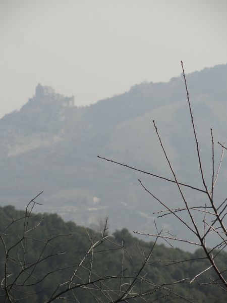 DSC04543