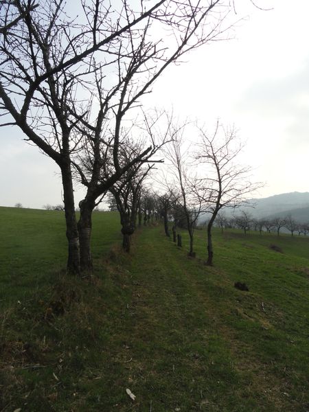 DSC04705