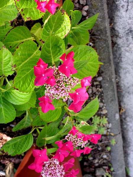 20030101_24.JPG