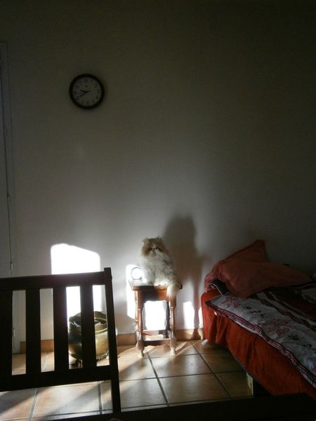 La-chatte-a-la-pendule--jpg