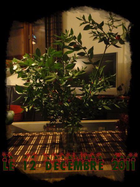 Decembre-2011.Pitoulette.Ble.Houx.Deco-Noel-Ophrys-008.jpg