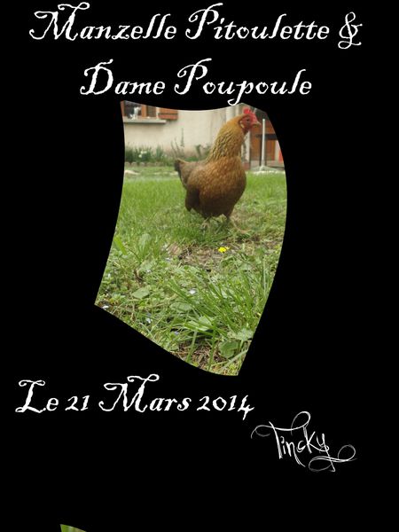 Le-21.03.2014-Dame-Poupoule-114.jpg
