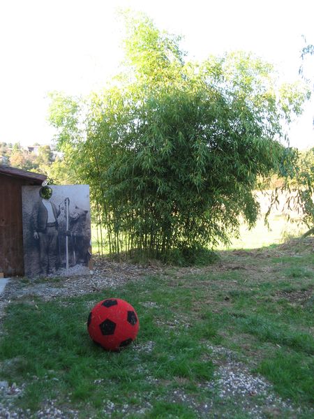 Festival-du-Verbe-Dick-Annegarn-2011 2752