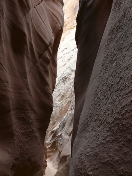 P1130787