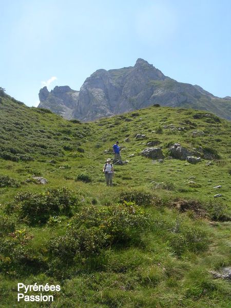DSCN1693