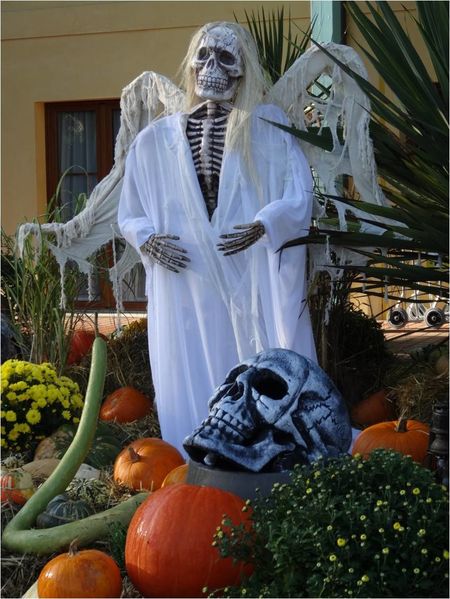 hotel-des-pirates-nigloween.jpg