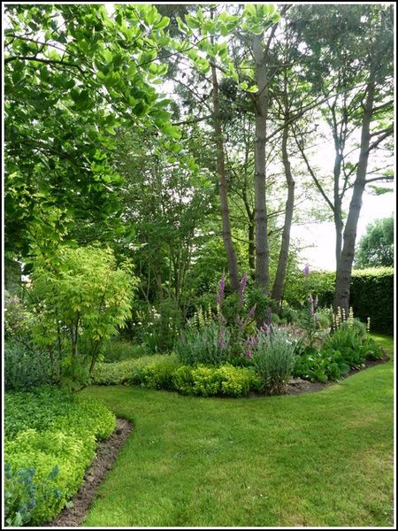 parterre-et-arbres.jpg