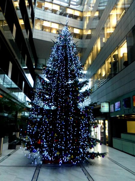 sapin-de-noel-france-televisions.jpg
