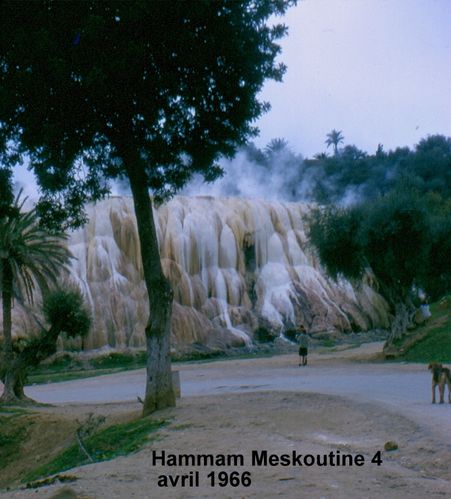 HammamMeskoutine4