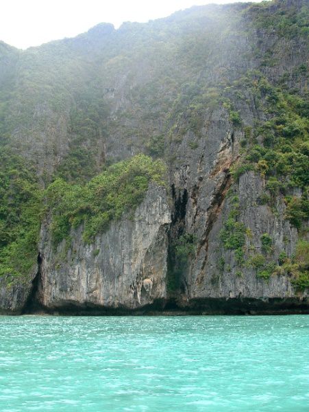excursion koh phi phi maya bay thailande