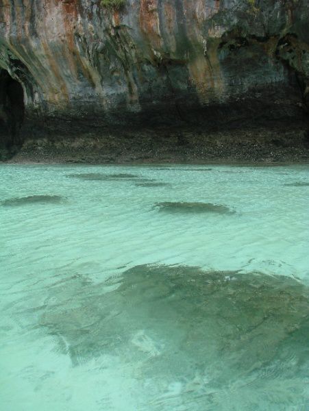 excursion koh phi phi maya bay thailande