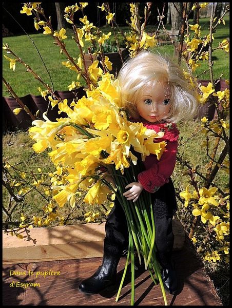 110 Jonquilles(26)