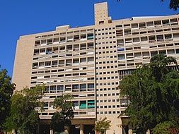 cite-radieusemarseill-office-tmairie.jpg