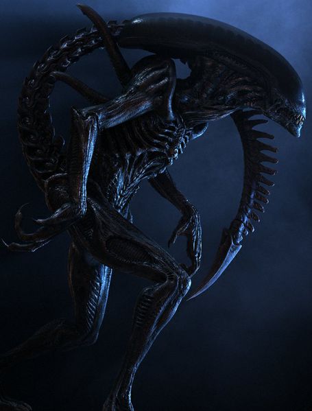 alien01.jpg