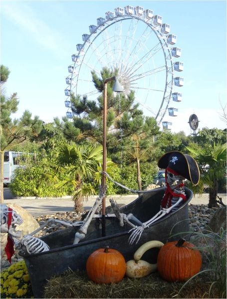 grande-roue-nigloland.jpg