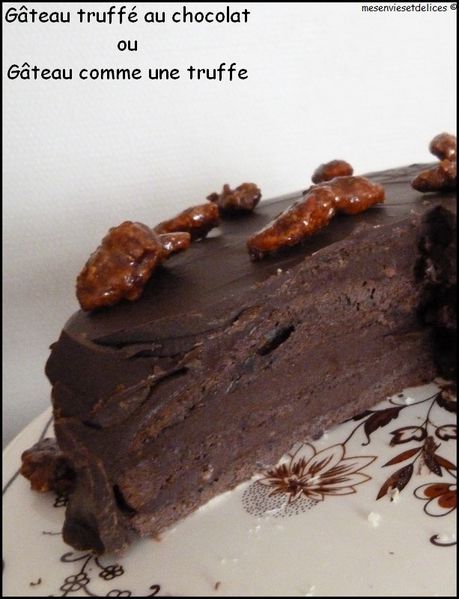 Gateau-truffe-au-chocolat-ou-gateau-comme-une-truffe.jpg