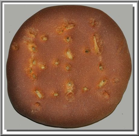 Biscuit-766-montf