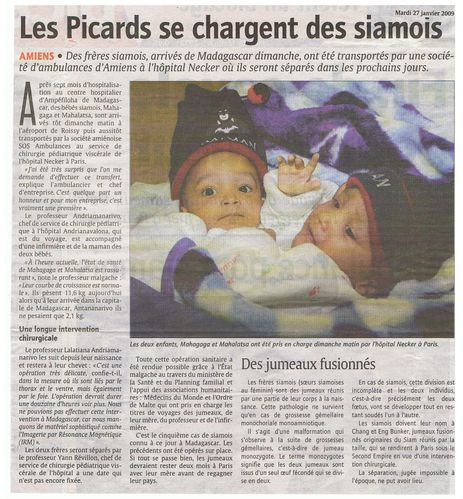 siamois arrivée