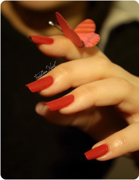 LmCosmetic-LesMusiciensDeBreme-7