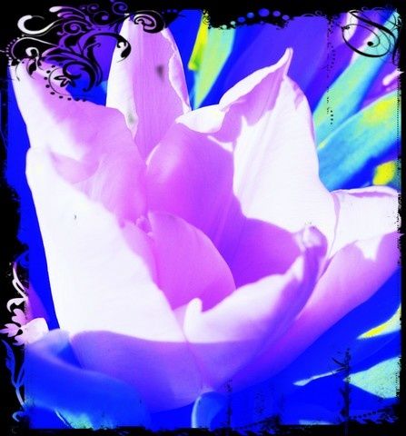 Q 005