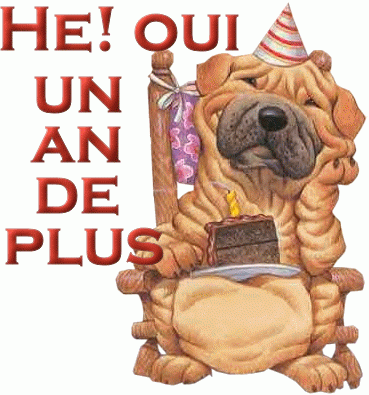 Anniversaire_gif1_.gif