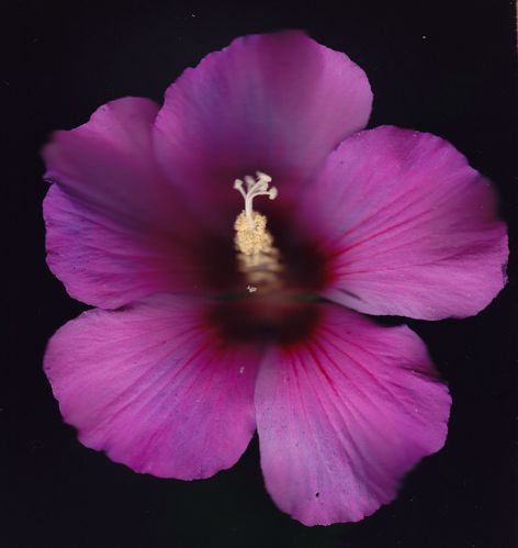 IMG.jpg