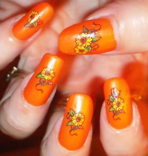 orange-2.jpg