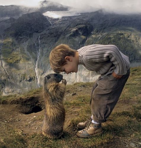 Marmotte.jpg