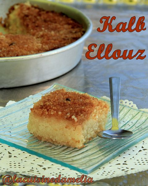 kalb-ellouz-chamia--2-.JPG