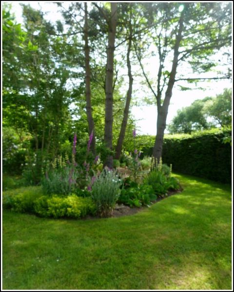parterre-et-arbress.jpg